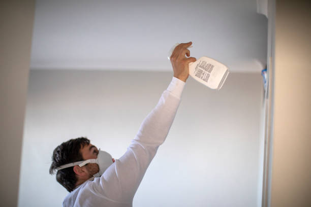 Best Office Mold Removal Services  in Amherst, OH